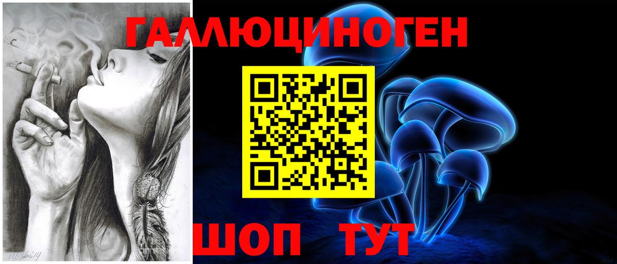Псилоцибиновые грибы Psilocybine cubensis Моршанск
