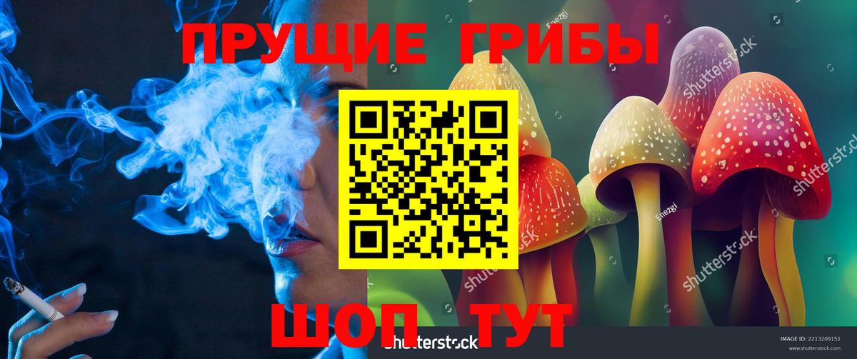 Моршанск  Галлюциногенные грибы Magic Shrooms  Вход с VPN 